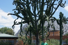 Blake and giant cactus at the botanical garden